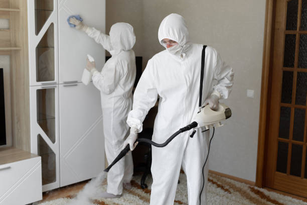 24/7 Emergency Odor Removal experts in Warren, MI
